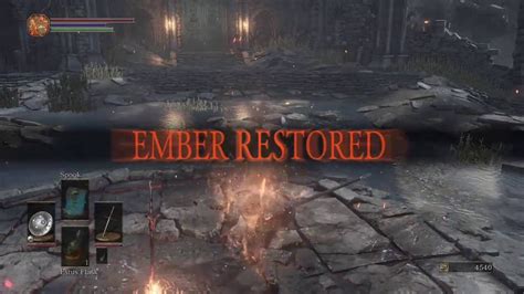 Luck determines how often your enemies will drop several items upon their death, through Item Discovery. . Dark souls 3 bleed build